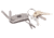 Lewis N Clark ToolLight UT212