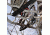 Lone Wolf Treestands Assault II Hang On Tree Stand, Gray ASHO II