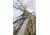 Lone Wolf Treestands Climbing Stick, 3 piece set, Gray CS3-3PC