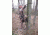 Lone Wolf Treestands Sit and Climb II Combo Tree Stand, Gray SCC II