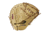 Louisville Slugger 125 Series 33in Catcher Baseball Glove, Right Hand 1107896