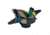 Lucky Duck Lucky Splasher Duck Decoy, 21-10116-2