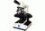 LW Scientific Revelation III Monocular Microscope with Achromat 4x, 10x, 40x, 100x Objectives, CREAM R3M-MN4A-DAL3