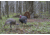MAD Spin-N Strut Turkey Decoy, Brown, MD-735