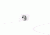 Maglite Reflector Aaa - 108-000-064