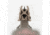 Magpul MBUS Front Flip-Up Back Up Sight Gen 2, Flat Dark Earth MAG247FDE