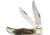 Marbles Folding Hunter Imitation Stag Folding Knife, Satin SS Clip And Skinner Blades, Imitation Stag Handle, Black Nylon Sheath, KB223/ MR417 #61 SHIELD