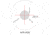 March Scopes Normal Turret 2.5-25x52mm, 30mm Tube, Second Focal Plane, MTR-RTM Reticle, MOA, Black, D25V52IMTR-RTM Reticle