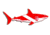 Marine Sports Vinyl Decal