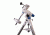 Meade LX70 R6 6in 150mm f/5 Newtonian Reflector Telescope w/German Equatorial Mount 270011