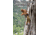 Media Little Cottonwood Rock Climbing 4 in 1 Volume