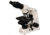 Meiji Techno Halogen Binocular Brightfield,Phase Contrast Biological Microscope, BEIGE, LARGE MT4210H