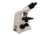 Meiji Techno Halogen Binocular Brightfield Research,Clinical Studies Biological Microscope, BEIGE, LARGE MT5200H