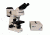 Meiji Techno Halogen Binoculor Epi-Fluorescence Biological Microscope, BEIGE, LARGE MT6200H