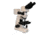 Meiji Techno Halogen Ergo Bino Brightfield,Darkfield Metallurgical Microscope, BEIGE, LARGE MT7520EH