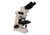 Meiji Techno Halogen Ergo Bino Brightfield Metallurgical Microscope, BEIGE, LARGE MT7000EH