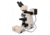 Meiji Techno Halogen Ergo Bino Incident,Transmitted Light BF,DF Metallurgical Microscope, BEIGE, LARGE MT8520EH