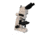Meiji Techno Halogen Ergo Trino Brightfield Metallurgical Microscope, BEIGE, LARGE MT7100EH
