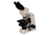 Meiji Techno Halogen Ergonomic Binocular Brightfield,Phase Contrast Biological Microscope, BEIGE, LARGE MT4210EH