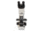 Meiji Techno Halogen Ergonomic Trinocular Brightfield Biological Microscope, BEIGE, LARGE MT5300EH