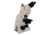 Meiji Techno Halogen Ergonomic Trinocular Brightfield,Phase Contrast Biological Microscope, BEIGE, LARGE MT4310EH