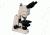Meiji Techno Halogen Ergonomic Trinocular Brightfield,Phase Contrast Biological Microscope, BEIGE, LARGE MT4310EH