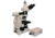 Meiji Techno Halogen Trino Incident,Transmitted Light BF Metallurgical Microscope, BEIGE, LARGE MT8100