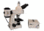 Meiji Techno Halogen Trinocular Epi-Fluorescence Biological Microscope, BEIGE, LARGE MT6300H
