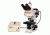 Meiji Techno Halogen Trinocular Epi-Fluorescence Biological Microscope, BEIGE, LARGE MT6300H