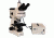 Meiji Techno Halogen Trinocular Epi-Fluorescence Biological Microscope, BEIGE, LARGE MT6300H