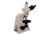 Meiji Techno Halogen Trinocular Polarizing Microscope, BEIGE, LARGE MT9300