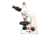 Meiji Techno Halogen Trinocular Polarizing Microscope, BEIGE, LARGE MT9300