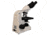 Meiji Techno LED Binocular Brightfield Biological Microscope,MT5200L, BEIGE, LARGE MT5200L