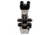 Meiji Techno LED Binocular Brightfield Biological Microscope,MT5200L, BEIGE, LARGE MT5200L