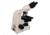 Meiji Techno LED Binocular Brightfield,Phase Contrast Biological Microscope,MT4210L, BEIGE, LARGE MT4210L