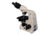 Meiji Techno LED Binocular Brightfield,Phase Contrast Biological Microscope,MT4210L, BEIGE, LARGE MT4210L
