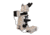 Meiji Techno LED Ergo Trino Incident,Transmitted Light BF,DF Metallurgical Microscope,MT8500, BEIGE, LARGE MT8530EL