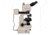 Meiji Techno LED Ergo Trino Incident,Transmitted Light BF,DF Metallurgical Microscope,MT8500, BEIGE, LARGE MT8530EL