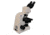 Meiji Techno LED Ergonomic Binocular Brightfield,Phase Contrast Biological Microscope,MT4210EL, BEIGE, LARGE MT4210EL