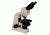 Meiji Techno LED Ergonomic Binocular Brightfield,Phase Contrast Biological Microscope,MT4210EL, BEIGE, LARGE MT4210EL