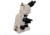 Meiji Techno LED Ergonomic Trinocular Brightfiled,Phase Contrast Biological Microscope,MT4310El, BEIGE, LARGE MT4310EL