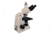 Meiji Techno LED Trinocular Brightfield Biological Microscope,MT5300L, BEIGE, LARGE MT5300L