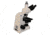 Meiji Techno LED Trinocular Brightfield,Phase Contast Biological Microscope,MT4310L, BEIGE, LARGE MT4310L