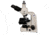 Meiji Techno LED Trinocular Brightfield,Phase Contast Biological Microscope,MT4310L, BEIGE, LARGE MT4310L