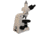 Meiji Techno LED Trinocular Polarizing Microscope,MT9300L, BEIGE, LARGE MT9300L