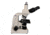 Meiji Techno Live Blood Cell Halogen Trinocular Brightfield,Phase Contrast Biological Microscope, BEIGE, LARGE MT5300H/LBC