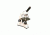 Meiji Techno MT-12 LED Monocular Entry-Level Compound Microscope, White MT-12
