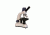 Meiji Techno MT-16 LED Monocular Entry-Level Microscope, White MT-16