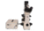 Meiji Techno Trinocular Inverted Epi-Fluorescence Biological Microscope, TC-5600