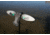 Mojo Green Wing Teal Decoy, Elite Series HW2474